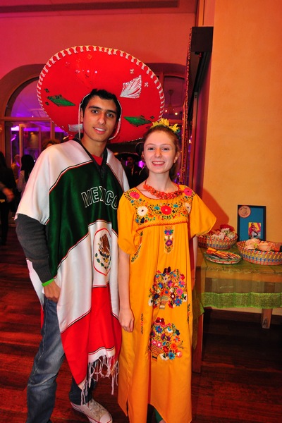 Launching the International Dance Festival 2014